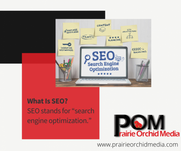 Website Wisdom Wednesday - What is SEO and Why is it So Important?