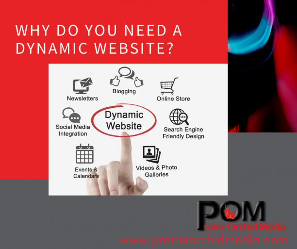 Why Do You Need a Dynamic Website?
