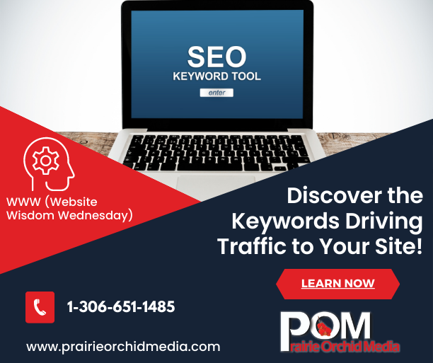 Discover the Keywords Driving Traffic to Your Site!