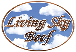 Living Sky logo designed by Prairie Orchid Media 